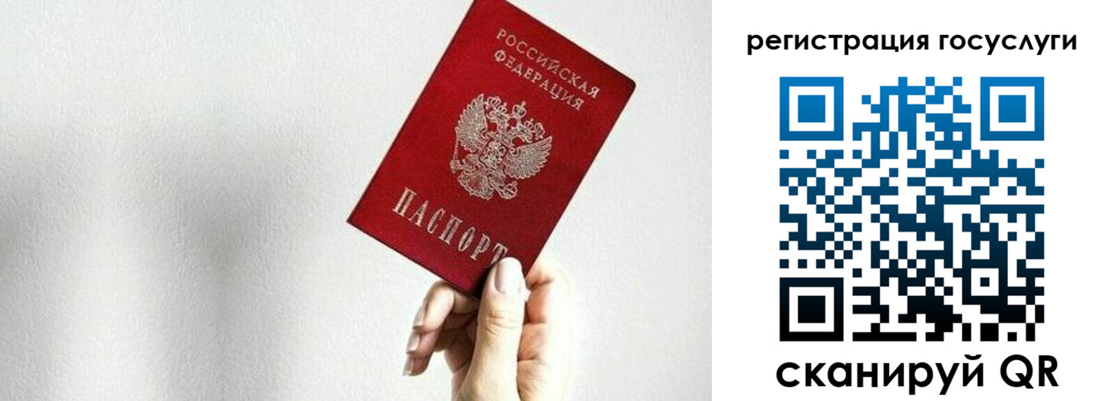 временная регистрация гарантия в Лесном